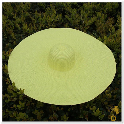 Chapeau de paille femme