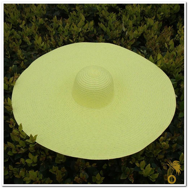 Chapeau de paille femme