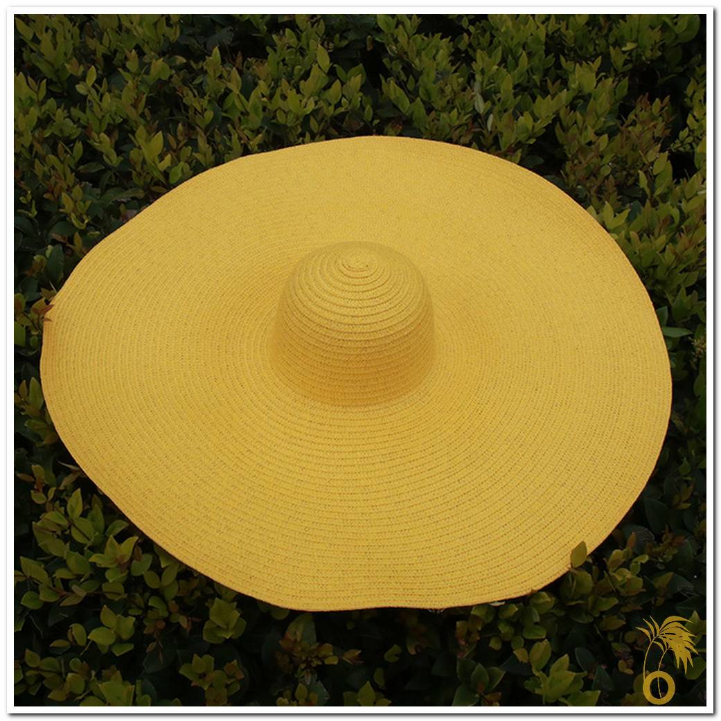Chapeau de paille femme