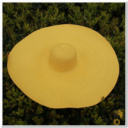 Chapeau de paille femme