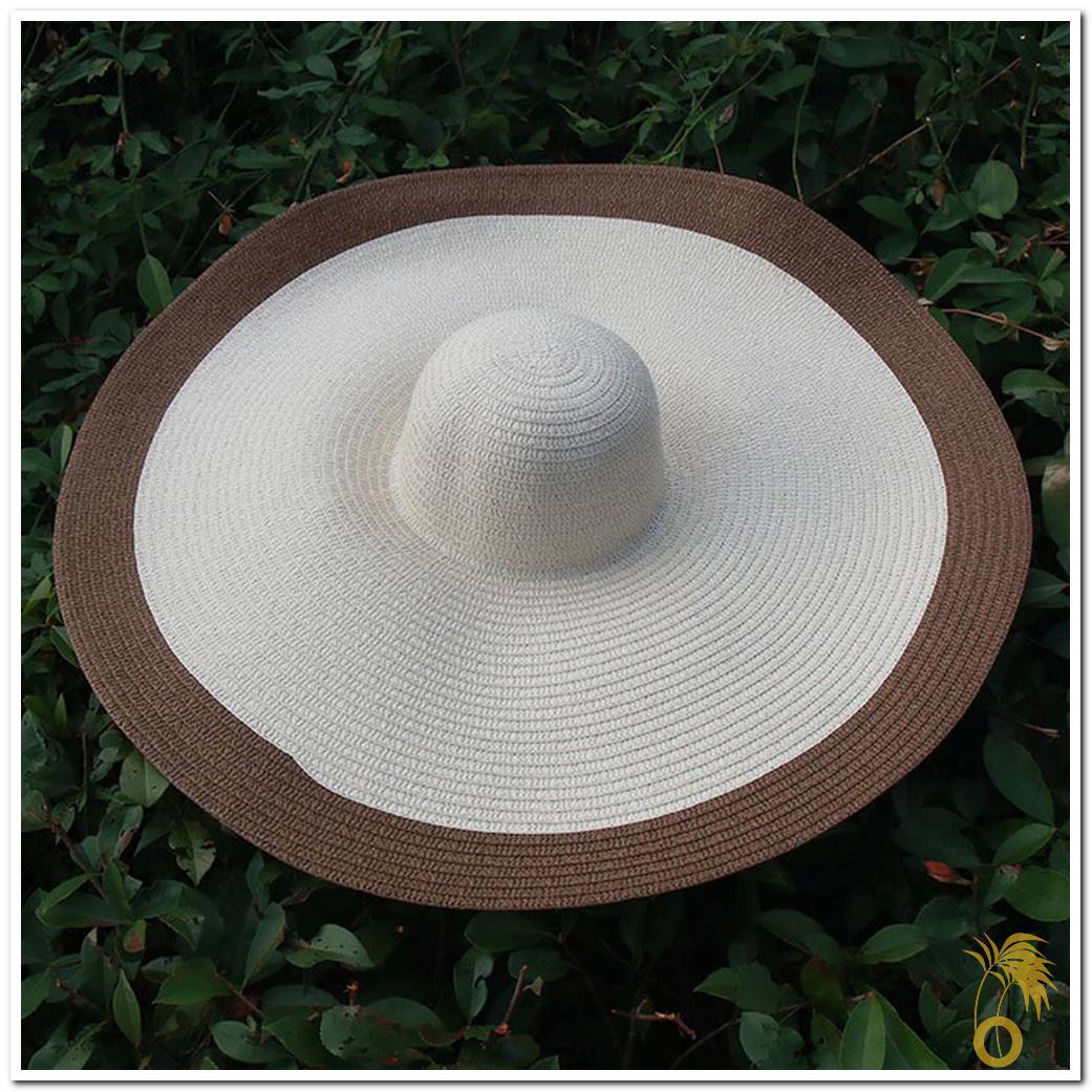 Chapeau de paille femme