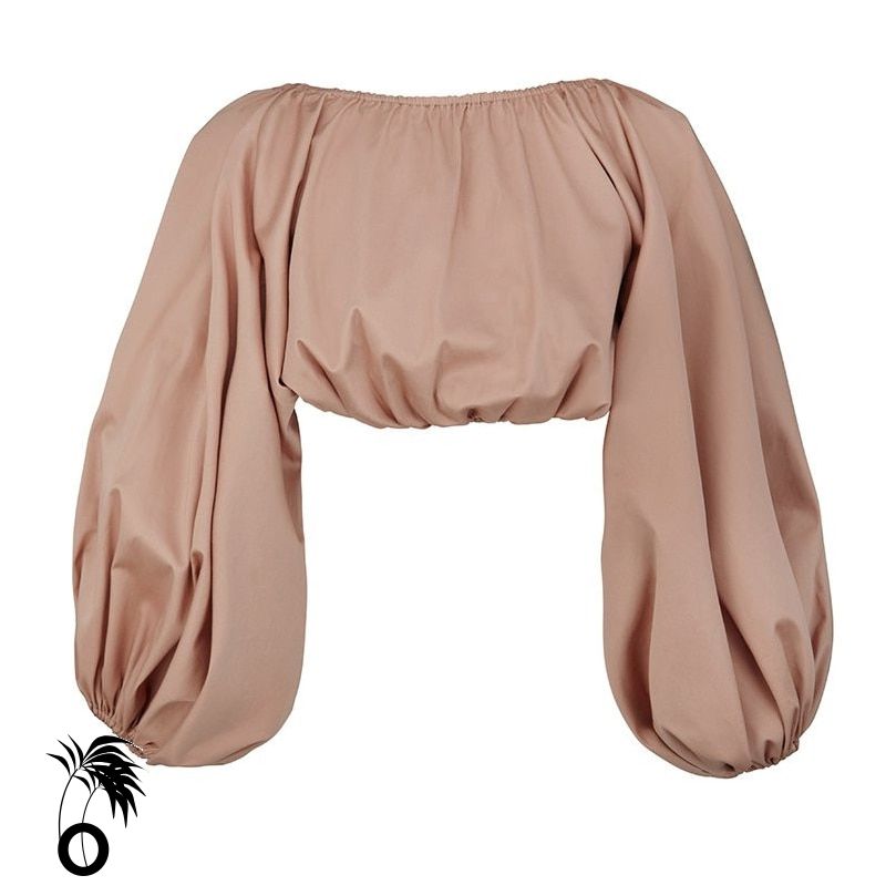 Blouse Top Dos Nu Chic